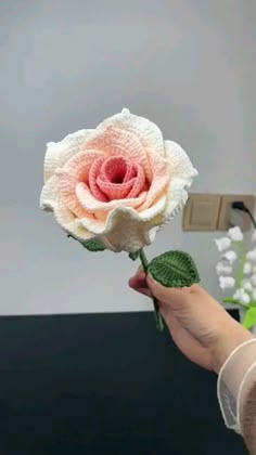Giant Multicolored Rose