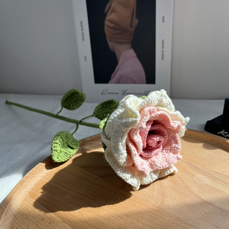 Giant Multicolored Rose